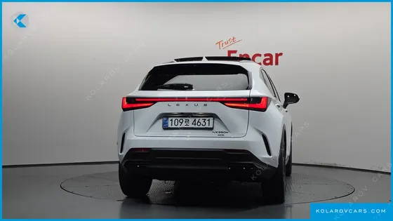 LEXUS NX LUXURY