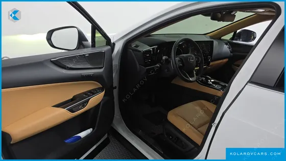 LEXUS NX LUXURY