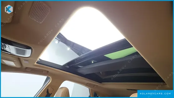 LEXUS NX LUXURY