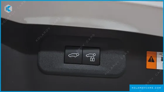 LEXUS NX LUXURY