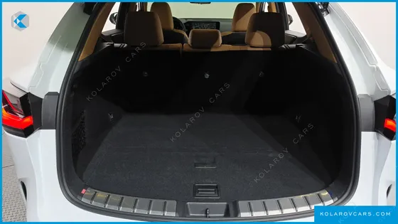 LEXUS NX LUXURY