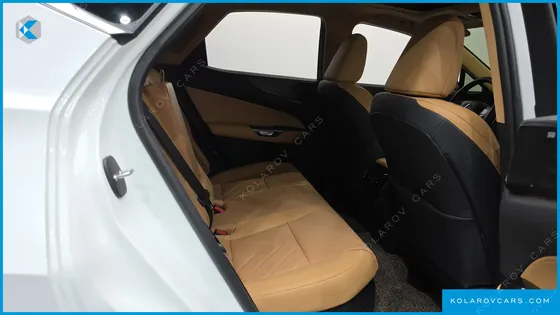LEXUS NX LUXURY