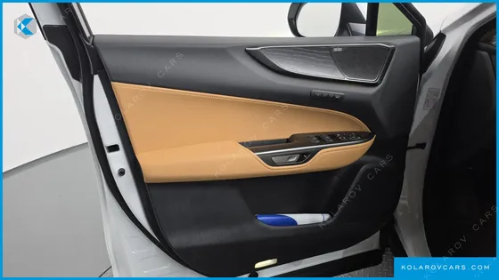 LEXUS NX LUXURY