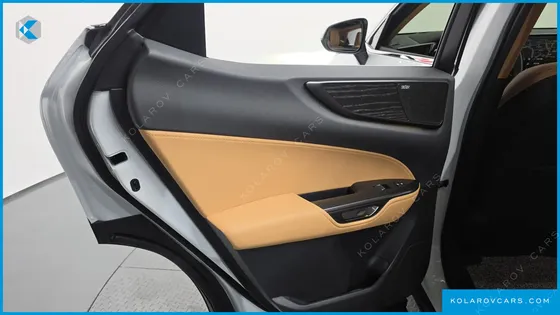 LEXUS NX LUXURY