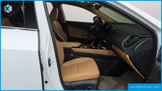 LEXUS NX LUXURY