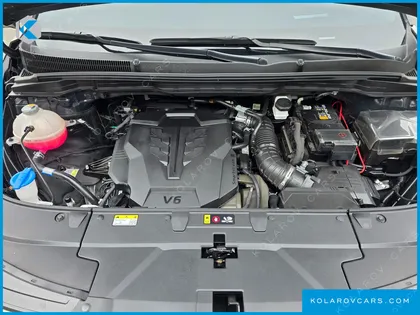 KIA CARNIVAL GASOLINE 4-SEATER HI LIMOUSINE (SPECIAL)