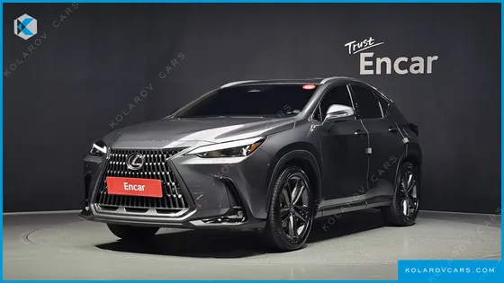LEXUS NX PREMIUM