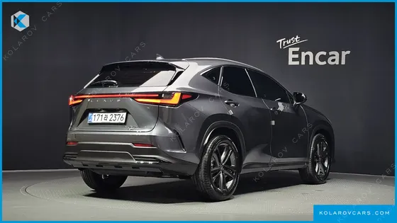 LEXUS NX PREMIUM