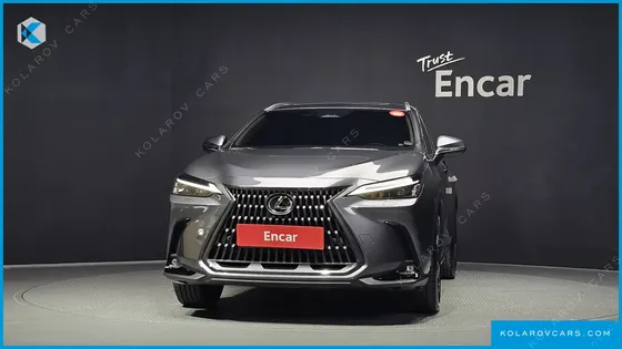 LEXUS NX PREMIUM