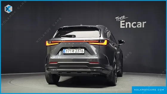 LEXUS NX PREMIUM