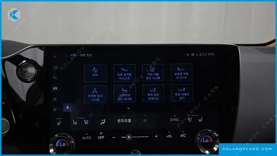 LEXUS NX PREMIUM