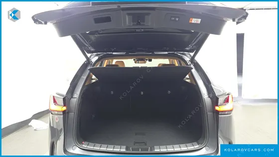 LEXUS NX PREMIUM