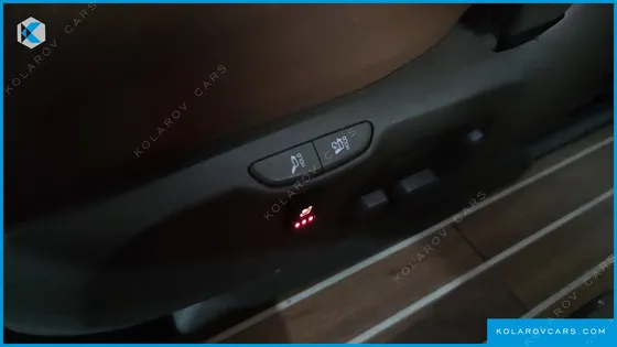 KIA CARNIVAL GASOLINE 9-SEATER LIMOUSINE(SPECIAL VEHICLE)