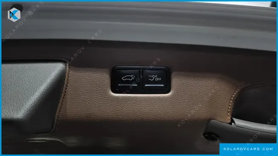 KIA CARNIVAL GASOLINE 9-SEATER LIMOUSINE(SPECIAL VEHICLE)