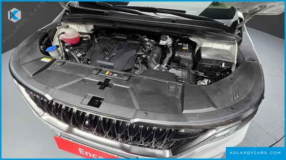 KIA CARNIVAL GASOLINE 7-SEATER HI-LIMOUSINE