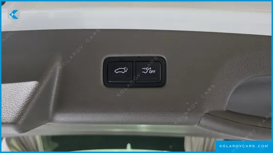 KIA CARNIVAL GASOLINE 7-SEATER HI-LIMOUSINE
