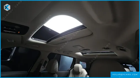 KIA CARNIVAL 9-SEATER SIGNATURE