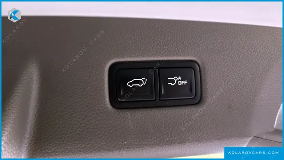 KIA CARNIVAL 9-SEATER SIGNATURE