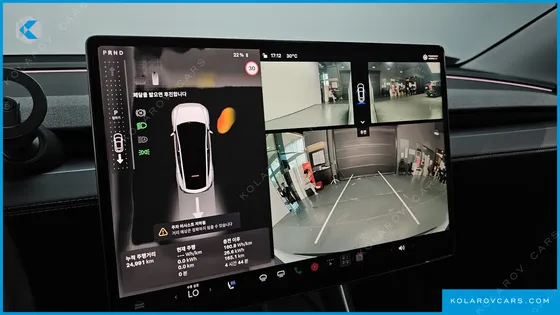 TESLA MODEL Y RWD
