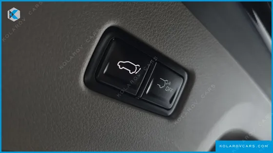 KIA CARNIVAL GASOLINE 7-SEATER HI LIMOUSINE