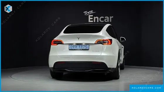TESLA MODEL Y LONG RANGE AWD