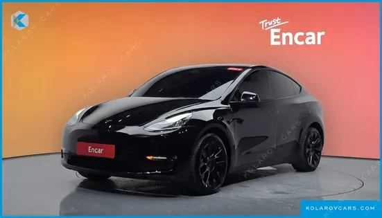 TESLA MODEL Y LONG RANGE AWD