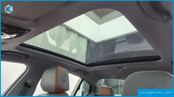 BMW 5 SERIES 530E