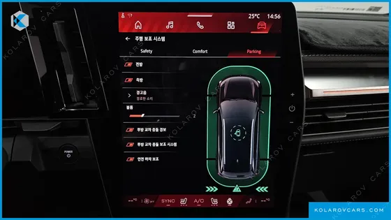 RENAULT KOREA SCENIC ICONIC LIGHT