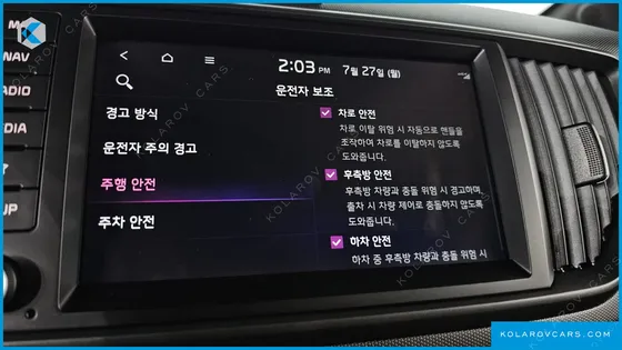 KIA RAY SIGNATURE