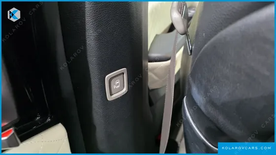 KIA CARNIVAL GASOLINE 9-SEATER LIMOUSINE(SPECIAL VEHICLE)