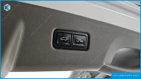 KIA CARNIVAL GASOLINE 9-SEATER LIMOUSINE(SPECIAL VEHICLE)