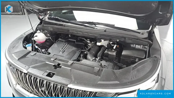 KIA CARNIVAL GASOLINE 9-SEATER HI-LIMOUSINE