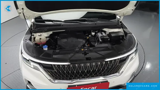 KIA CARNIVAL 9-SEATER NOBLESSE