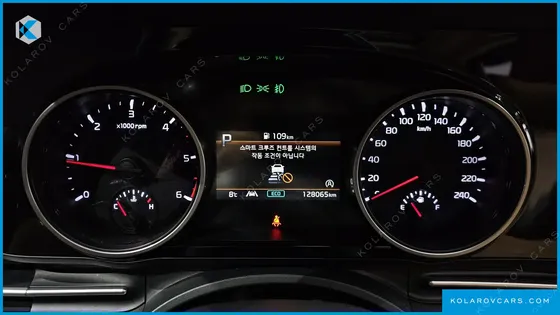 KIA CARNIVAL 9-SEATER NOBLESSE