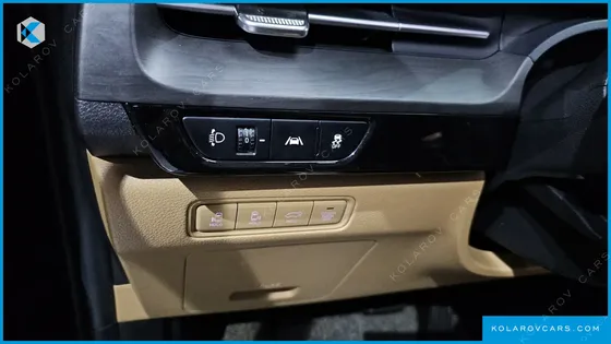 KIA CARNIVAL 9-SEATER NOBLESSE
