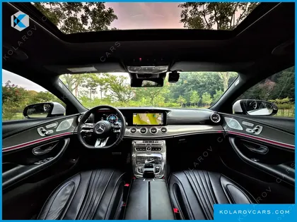 MERCEDES CLS-CLASS CLS300D AMG LINE