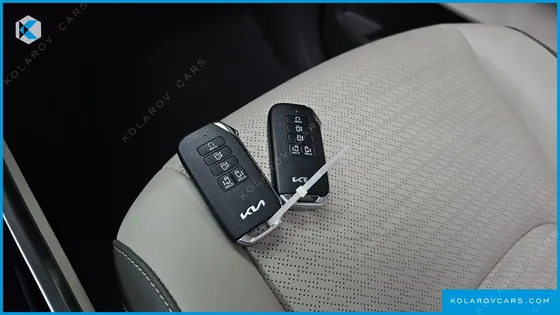 KIA CARNIVAL 9-SEATER SIGNATURE