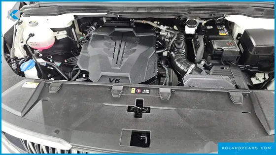 KIA CARNIVAL GASOLINE 9-SEATER HI-LIMOUSINE