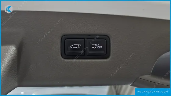 KIA CARNIVAL GASOLINE 9-SEATER HI-LIMOUSINE