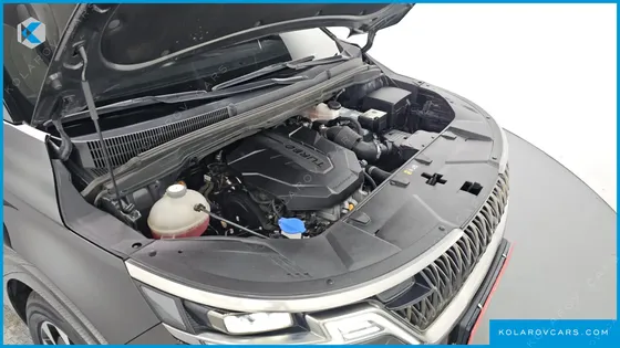 KIA CARNIVAL 9-SEATER SIGNATURE