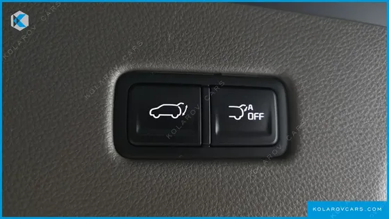 KIA CARNIVAL GASOLINE 9-SEATER NOBLESSE
