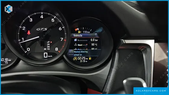 PORSCHE MACAN 2.9 GTS