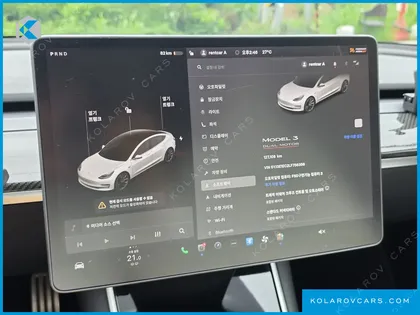 TESLA MODEL 3 PERFORMANCE AWD