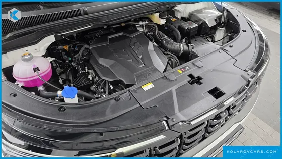 KIA CARNIVAL GASOLINE 9 SEATER X LINE