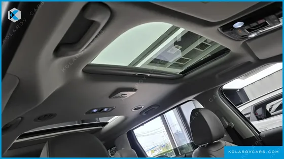 KIA CARNIVAL GASOLINE 9 SEATER X LINE