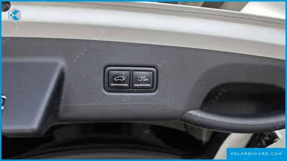 KIA CARNIVAL GASOLINE 9 SEATER X LINE