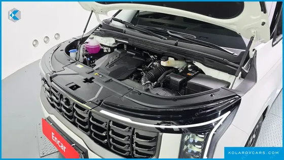 KIA CARNIVAL GASOLINE 9 SEATER X LINE
