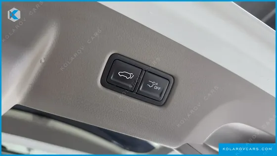 KIA CARNIVAL GASOLINE 9 SEATER X LINE