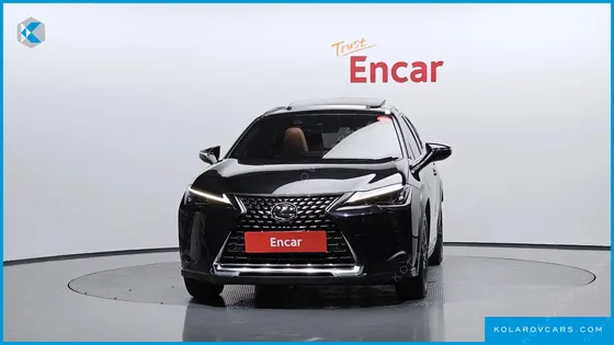 LEXUS UX 2.0 2WD