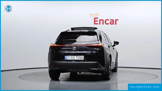 LEXUS UX 2.0 2WD